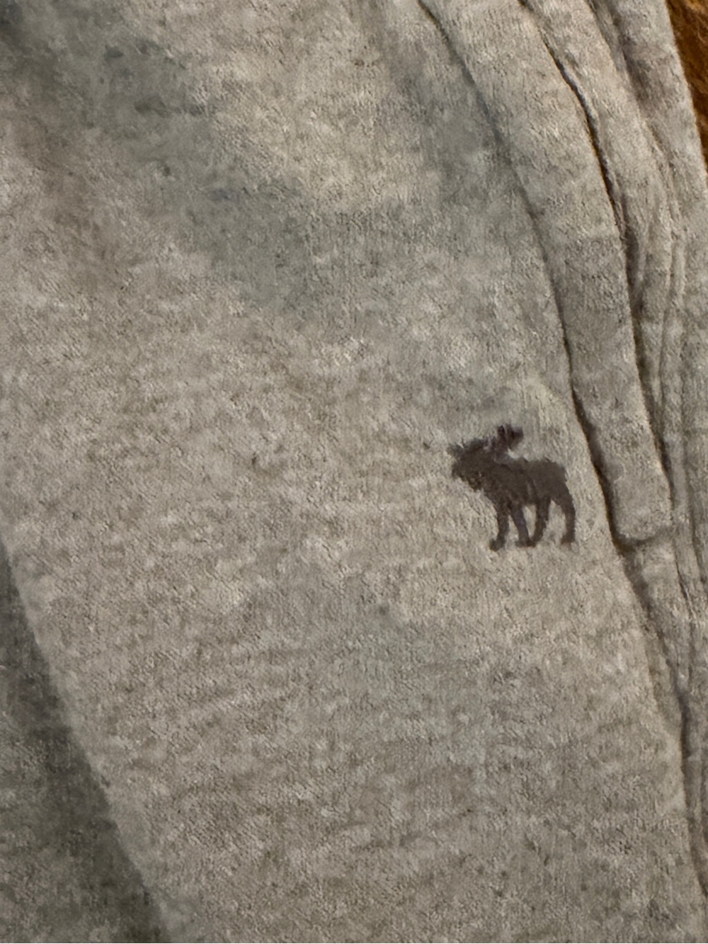 Abercrombie & Fitch Kids Gray Fleece Jogger Pants Kids 9/10 - Picture 3 of 5